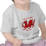 Bevins Welsh Dragon T-shirts