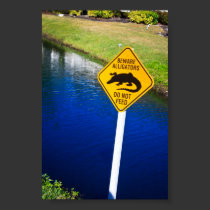 Beware Alligators Do Not Feed posters