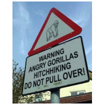 beware: angry gorillas! t-shirts by dogiron beware: angry gorillas! t-shirts