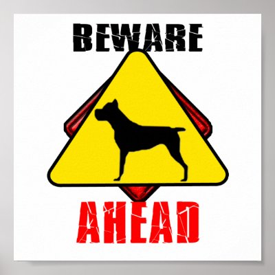 Beware C.Corso Ahead Poster by DAZELEWGRAPHIX