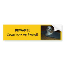 BEWARE! Cavachon on board! Bumper Sticker.