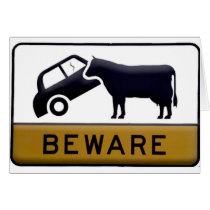 Beware - Cow Car Greeting Cards