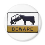 Beware - Cow Car magnets