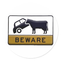 Beware - Cow Car stickers by GreasyGrandma Beware - Cow Car stickers