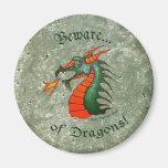 Beware Dragons Stone Magnet