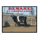 Beware El Chupacabra posters