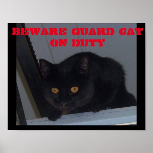 Beware Guard Cat On Duty Poster Zazzle