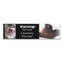 Beware-Killer Cats bumper stickers by KatAnnette Beware-Killer Cats bumper stickers