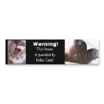 Beware-Killer Cats Bumper Stickers
