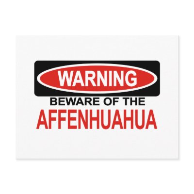 Beware Of Affenhuahua Postcards by Bewareofdogs