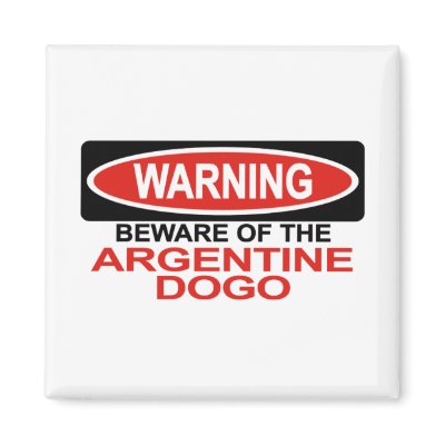 Beware Of Argentine Dogo Magnets by Bewareofdogs