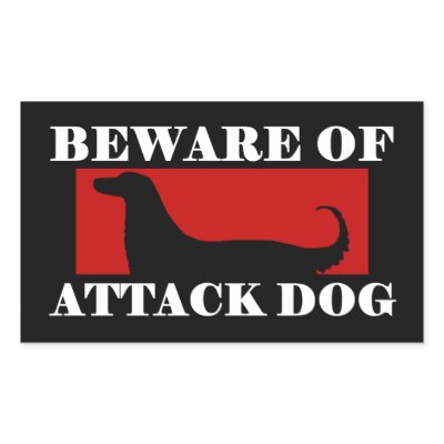 Beware of Attack Dog - Afghan Hound Round Stickers by MenagerieMayhem