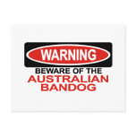 Beware Of Australian Bandog Post Cards