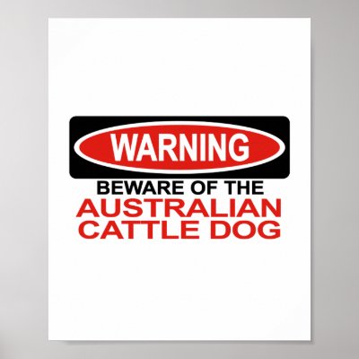 Beware Of Australian Cattle Dog Posters by Bewareofdogs
