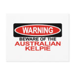 Beware Of Australian Kelpie Post Card