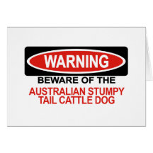 Beware Of Australian Stumpy Tail Cattle Dog Greeting Cards