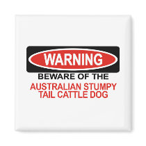 Beware Of Australian Stumpy Tail Cattle Dog magnets