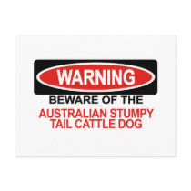 Beware Of Australian Stumpy Tail Cattle Dog postcards