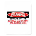 Beware Of Australian Stumpy Tail Cattle Dog posters