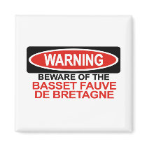 Beware Of Basset Fauve De Bretagne magnets