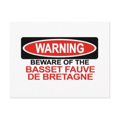 Beware Of Basset Fauve De Bretagne Postcards by Bewareofdogs