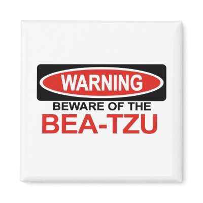 Beware Of Bea-Tzu Magnets by Bewareofdogs