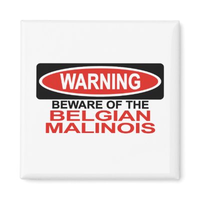 Beware Of Belgian Malinois Magnets by Bewareofdogs
