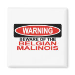 Beware Of Belgian Malinois magnets