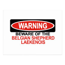 Beware Of Belgian Shepherd Laekenois Post Card