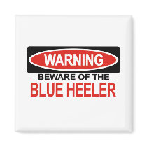 Beware Of Blue Heeler magnets by Bewareofdogs Beware Of Blue Heeler magnets
