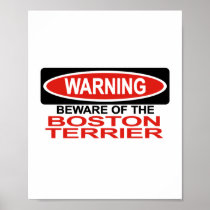 Beware Of Boston Terrier Poster