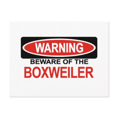 Beware Of Boxweiler Post Card by Bewareofdogs