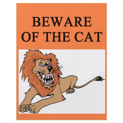 beware of cat joke personalized flyer by jimhartley