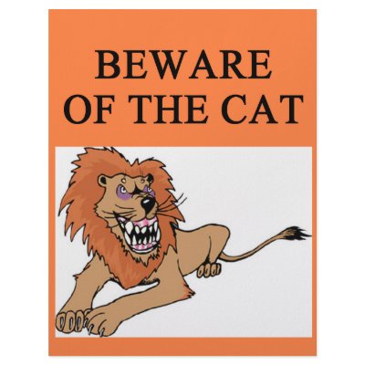 beware of cat joke personalized letterhead by jimhartley