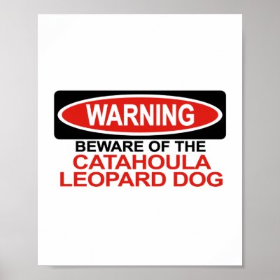 Beware Of Catahoula Leopard Dog Poster by Bewareofdogs