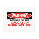 Beware Of Caucasian Mountain Dog Postcards