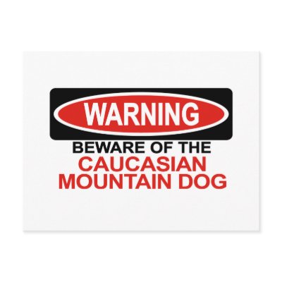 Beware Of Caucasian Mountain Dog Postcards by Bewareofdogs