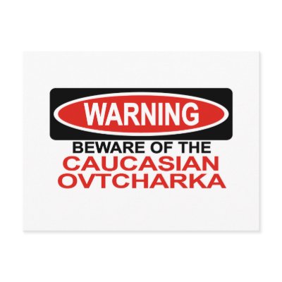 Beware Of Caucasian Ovtcharka Post Cards by Bewareofdogs