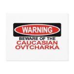 Beware Of Caucasian Ovtcharka postcards