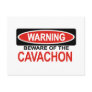 Beware Of Cavachon Post Card