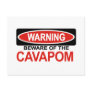 Beware Of Cavapom Postcard