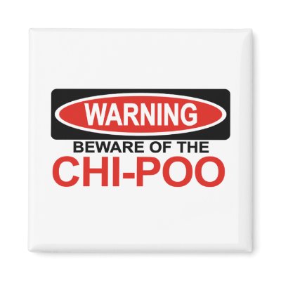 Beware Of Chi-Poo Fridge Magnets by Bewareofdogs
