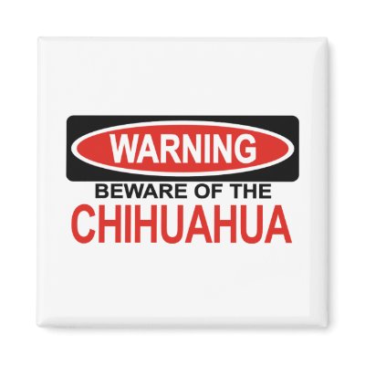 Beware Of Chihuahua Fridge Magnet by Bewareofdogs
