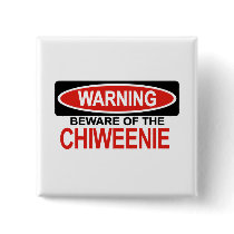 Beware Of Chiweenie Button