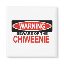 Beware Of Chiweenie Magnet