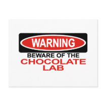 Beware Of Chocolate Lab Postcards