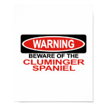 Beware Of Cluminger Spaniel posters
