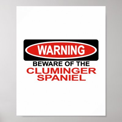 Beware Of Cluminger Spaniel Poster by Bewareofdogs