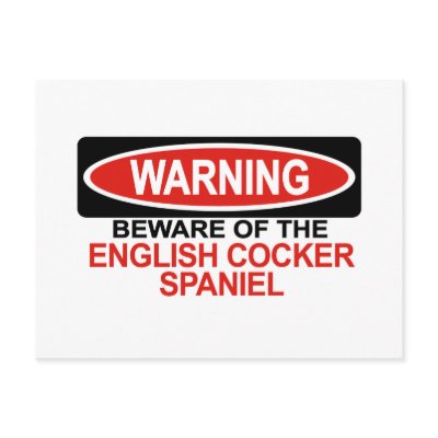 Beware Of English Cocker Spaniel Postcard by Bewareofdogs