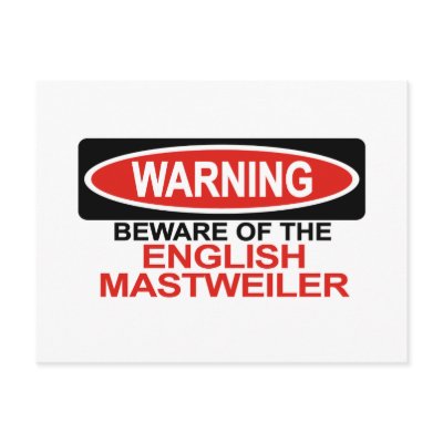 Beware Of English Mastweiler Post Card by Bewareofdogs